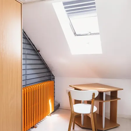 Apartment Sat Modern 2-bedroom Loft In Center *