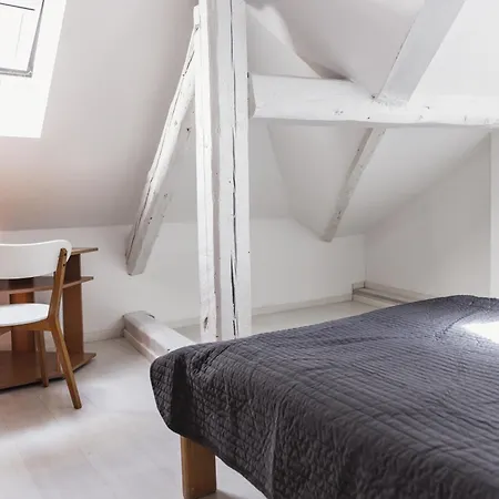 Apartment Sat Modern 2-bedroom Loft In Center *