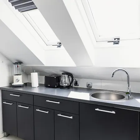 Apartment Sat Modern 2-bedroom Loft In Center *
