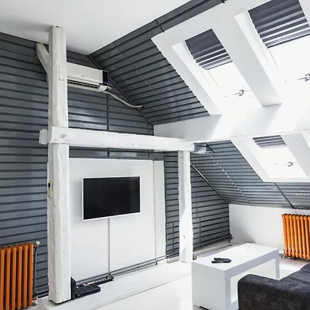 Sat Modern 2-bedroom Loft In Center Apartment *